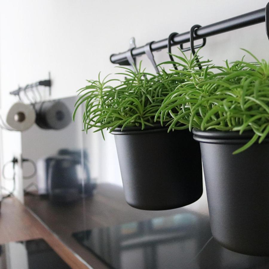Appartement 'Wij En De Zande' Kamperveen エクステリア 写真